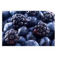 Borůvka a Ostružina