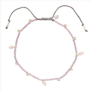 Růženín - nákotník