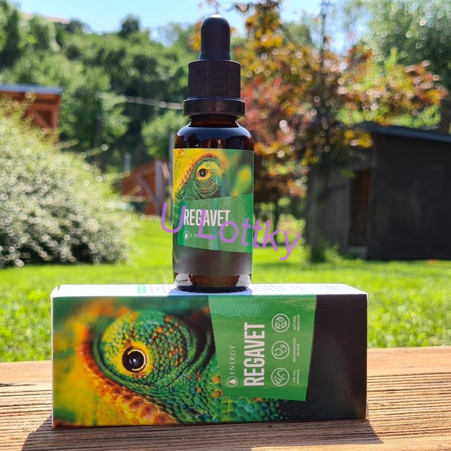 REGAVET - element  Dřevo