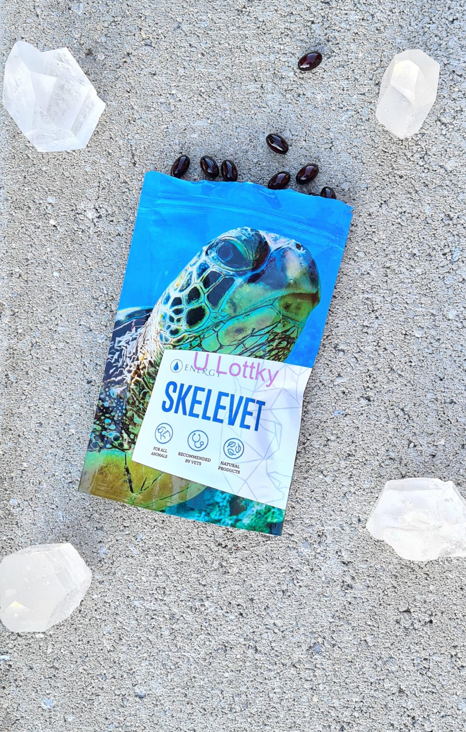 SKELEVET