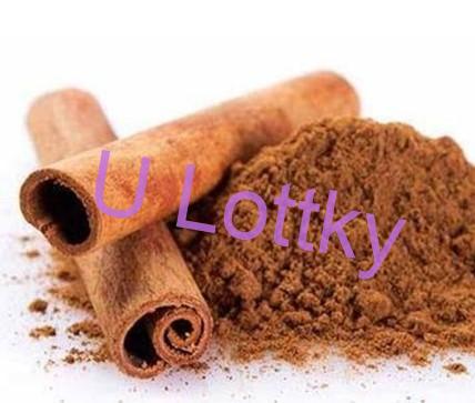 100% Bio Hydrolát SKOŘICE