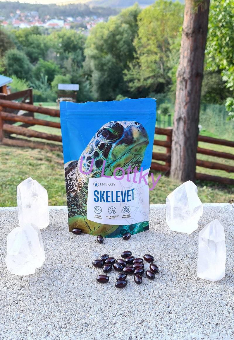 SKELEVET