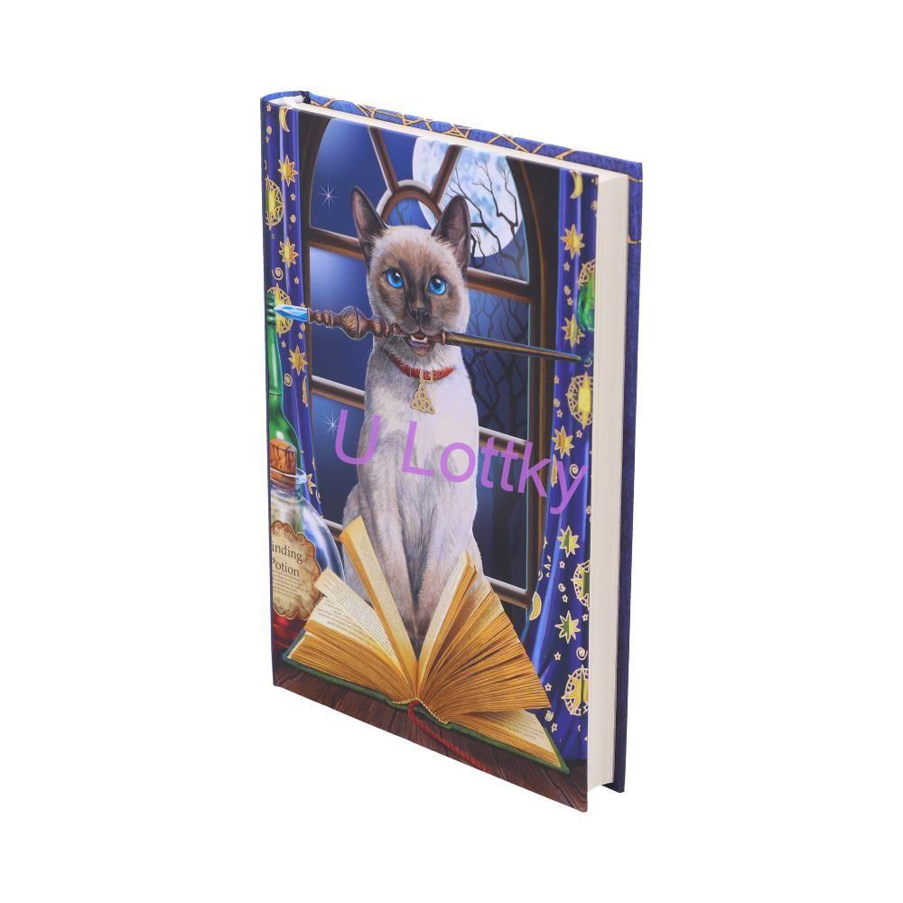 Deník "HOKUS POKUS"