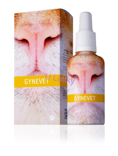 GYNEVET - element Země