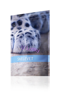 SKELEVET
