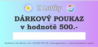 Dárkový Poukaz 500